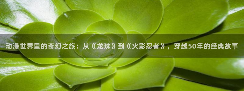 不死者之王第五季樱花动漫简体：动漫世界里的奇幻之旅：从《龙珠》到《火影忍者》，穿越50年的经典故事