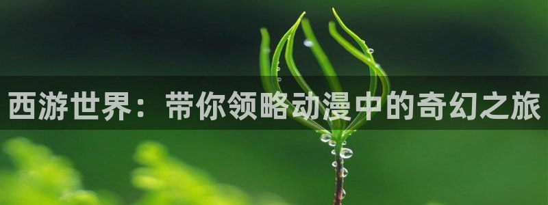 仕舞妻樱花动漫：西游世界：带你领略动漫中的奇幻之旅