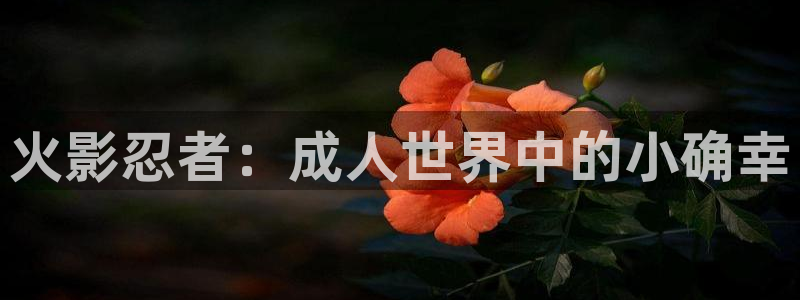 黄樱花动漫：火影忍者：成人世界中的小确幸